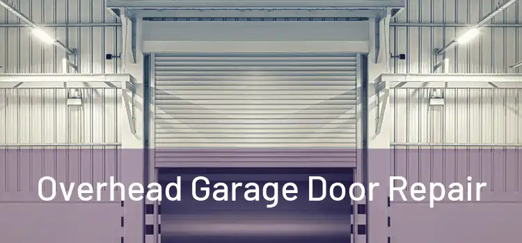  Overhead Garage Door Repair 