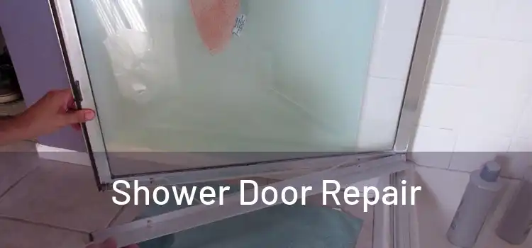  Shower Door Repair 